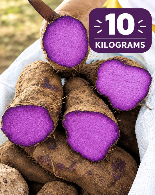[10 KG] Fresh Ube - Purple Yam